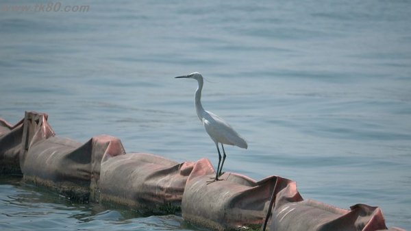 未練がある～f(^_^；)