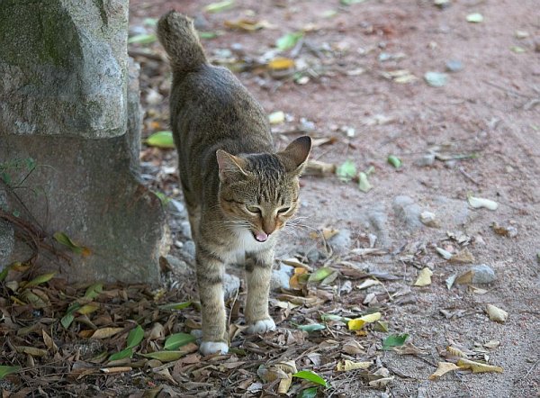 丸く済んでいる(^○^)