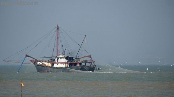 根こぞぎ(´；ω；｀)