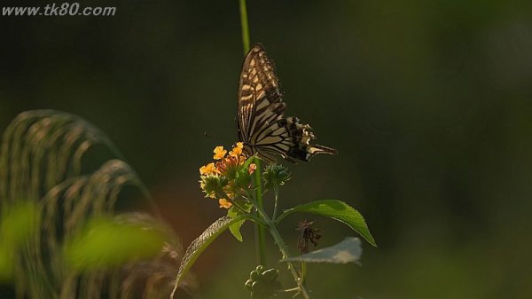 何と言えば良い～～f(^_^；)