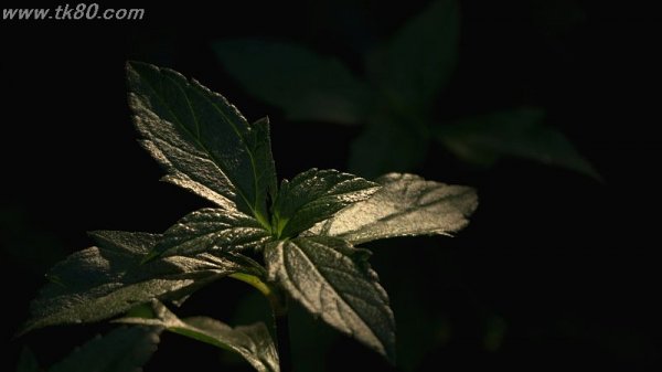 超過密フライト(^○^)