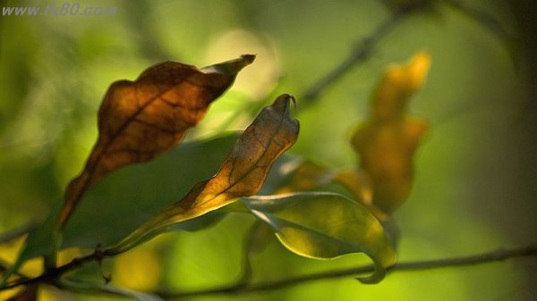 この時期に思う事～(´；ω；｀)