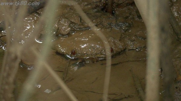 も、もしかして～！！＼(^o^)／