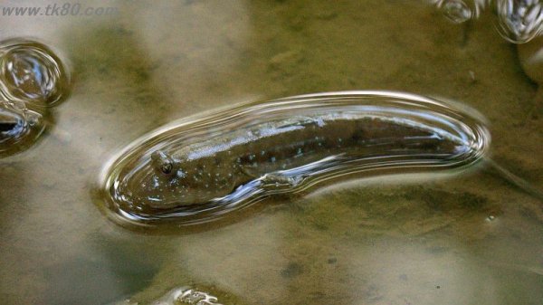 垢抜けたf(^_^；)