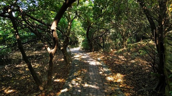 ここから先は～f(^_^；)