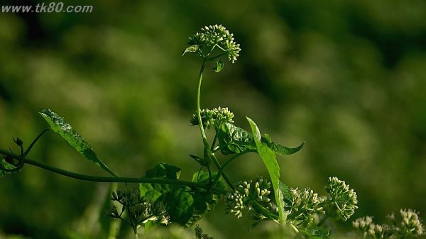 入場拒否！！f(^_^；)