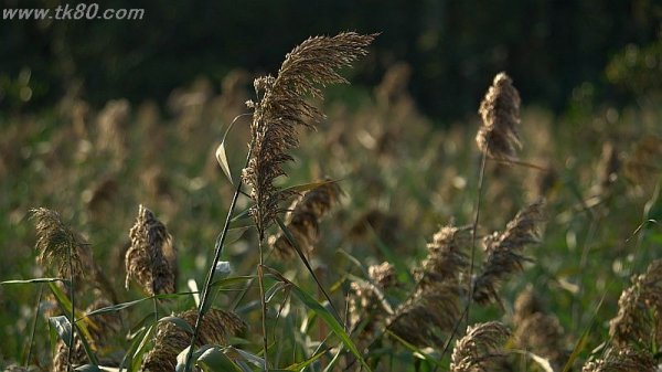 半袖で過ごすf(^_^；)