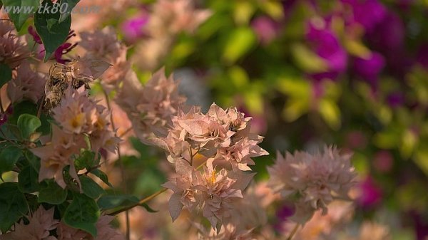 私も行ったぁ～＼(^o^)／