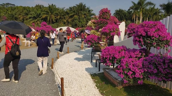 なんとかしろ！～～( #｀Д´)