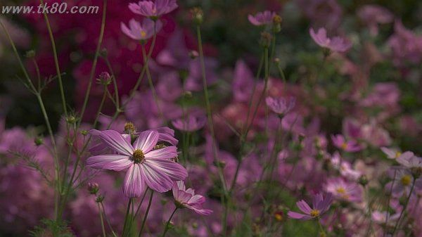 先に貰った～(^○^)