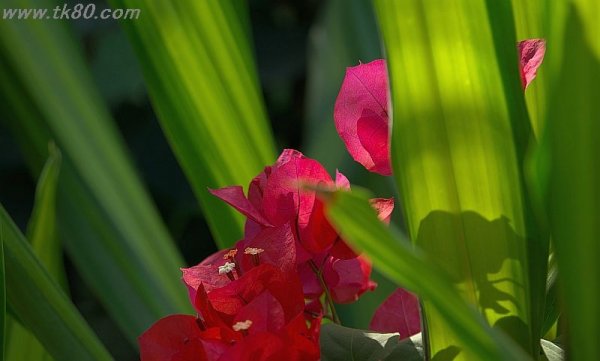 これが調整の限界f(^_^；)