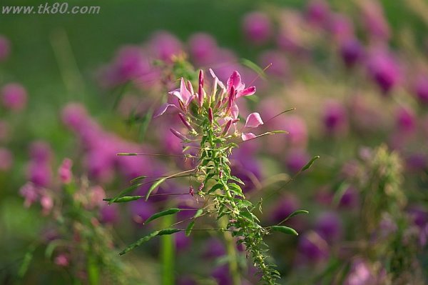 重要事項(；´Д｀)