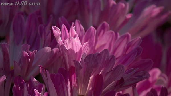 ひとあじ違った寒さf(^_^；)