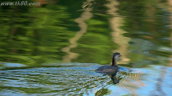 ズルズル～f(^_^；)