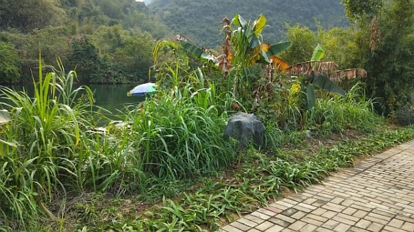 ガぁ～ン！！判らない(#ﾟДﾟ)