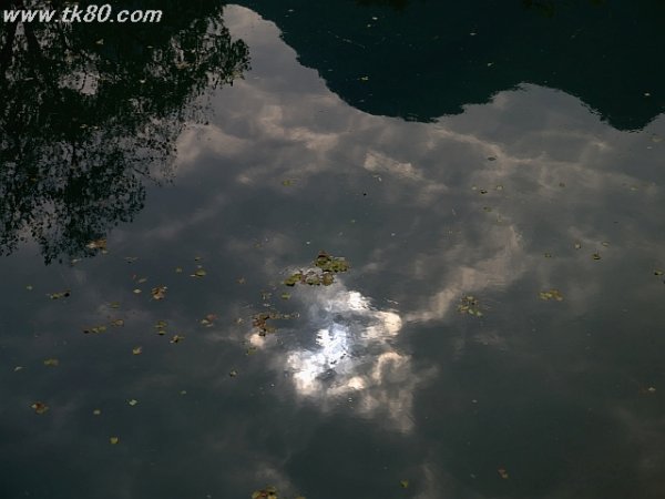 冬至快乐ヽ(‘ ∇‘ )ノ