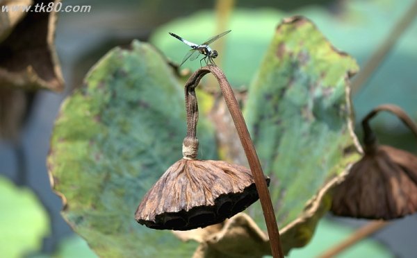 徹底的にやる！！ヽ(`Д´)ﾉ