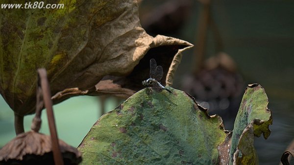 良いね！((´∀｀))