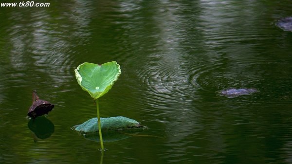 ６０歳定年～(´；ω；`)