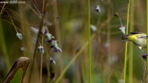 抜けたかぁ～(´；ω；`)