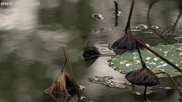 ダメだった～(´；ω；`)