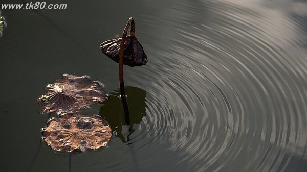 これは食える(´∀｀)