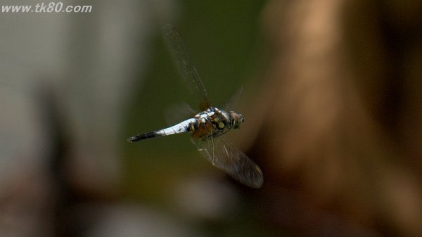 緩んでいる(# ﾟДﾟ)