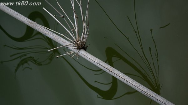 感謝～感謝～(´∀｀)