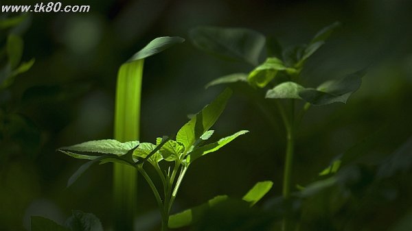 ホテル予約～(´∀｀)