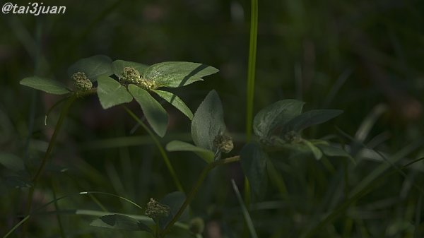 最近また壁に～(´；ω；`)