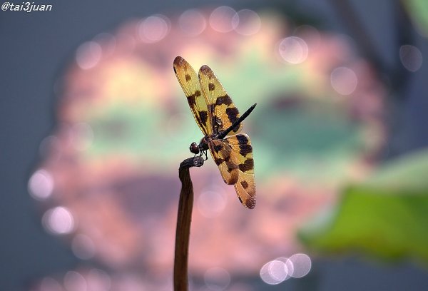 気にしないの～？？(^.^)/