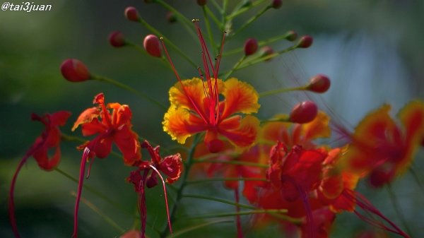 仕方ない～( ᵕ_ᵕ̩̩ )