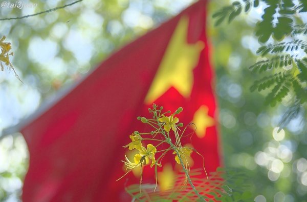 リベンジ！！(ﾟдﾟ)！