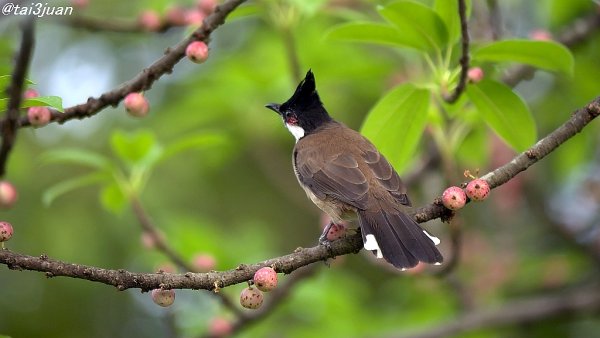 たったの4人だって～(ﾟдﾟ)！