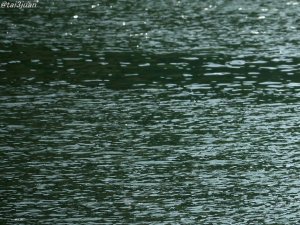 消化不足～( ⌒ ͜ ⌒ )