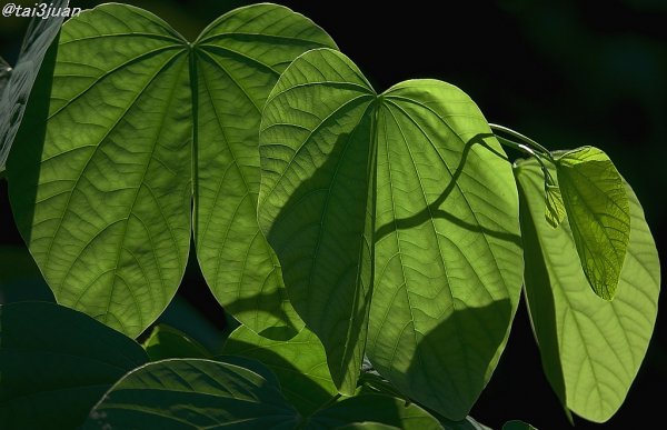 振替出勤～(/ω＼)