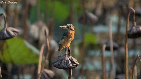 怯えてる～(^_^;)