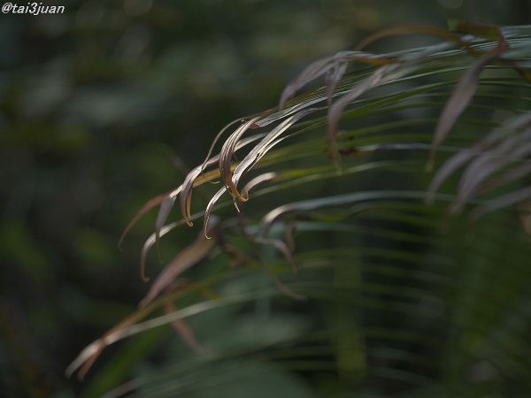 高い目線～(¯∇¯٥)