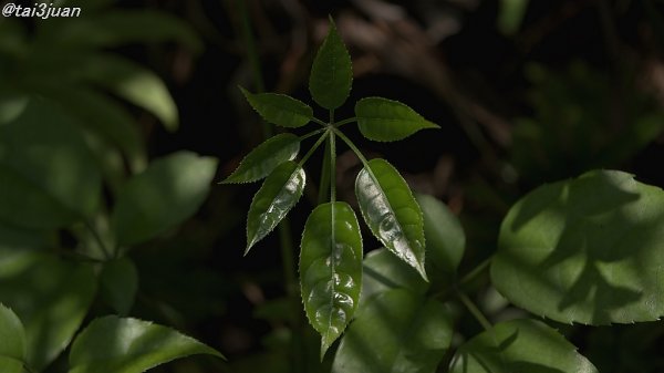 進化している( ⊙⊙)!!