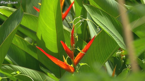 糖尿病～＿|￣|○