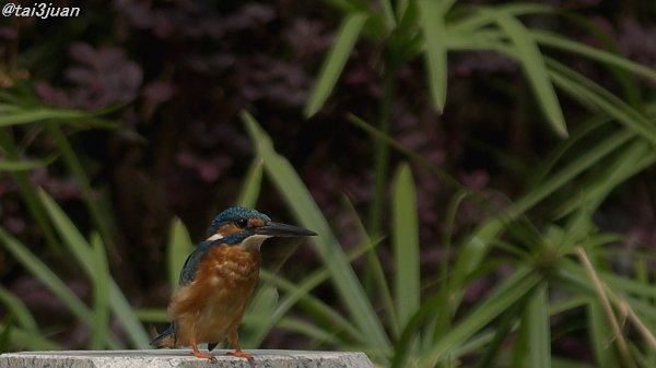 ズッゴイ嫌われた～( ⊙⊙)!!