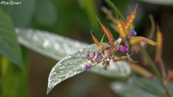 なぁ～んだぁ～( ◜ω◝ )