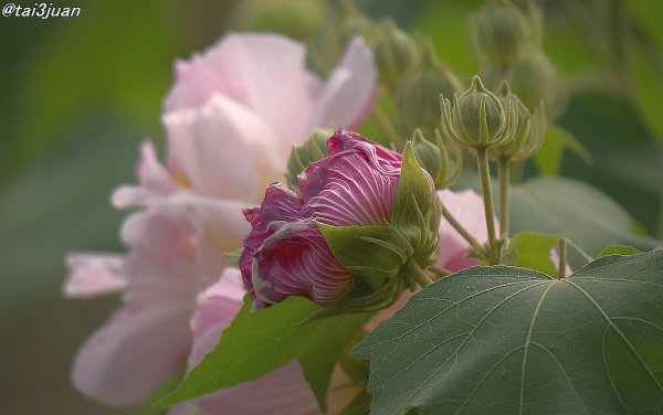 Yahoo!検索がぁ！？◝(⁰▿⁰)◜✧