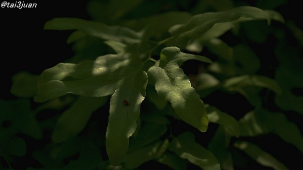 クレーム！(；一_一)