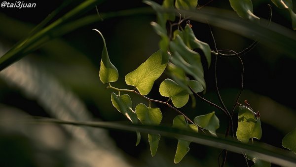 広州か？香港か？？(>_<)
