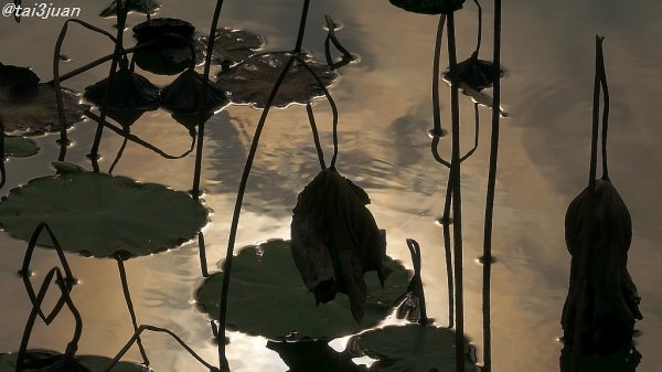 大ブーイング！！( ﾟДﾟ)