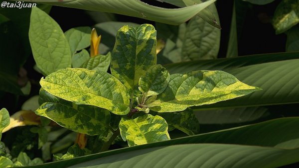 徹底ぶりに驚く～( ⊙⊙)!!