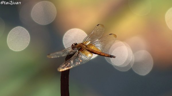 針の山みたいに～( ⊙⊙)!!