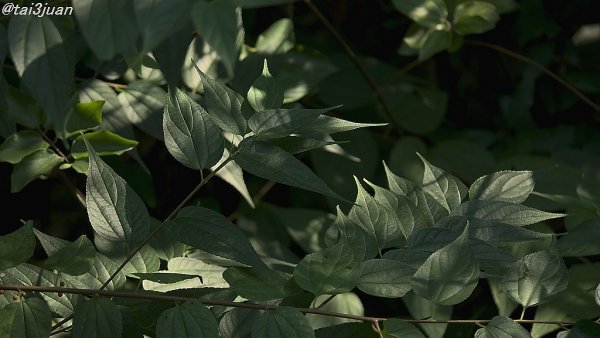 こんなの初めて～＿|￣|○