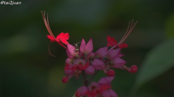 ここだけの話～(￣ー￣)ﾆﾔﾘ